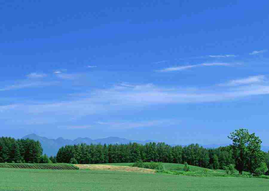 Ground and Sky - Datacraft Sozaijiten  ></a>
<script language=JavaScript> 
  var txt = 