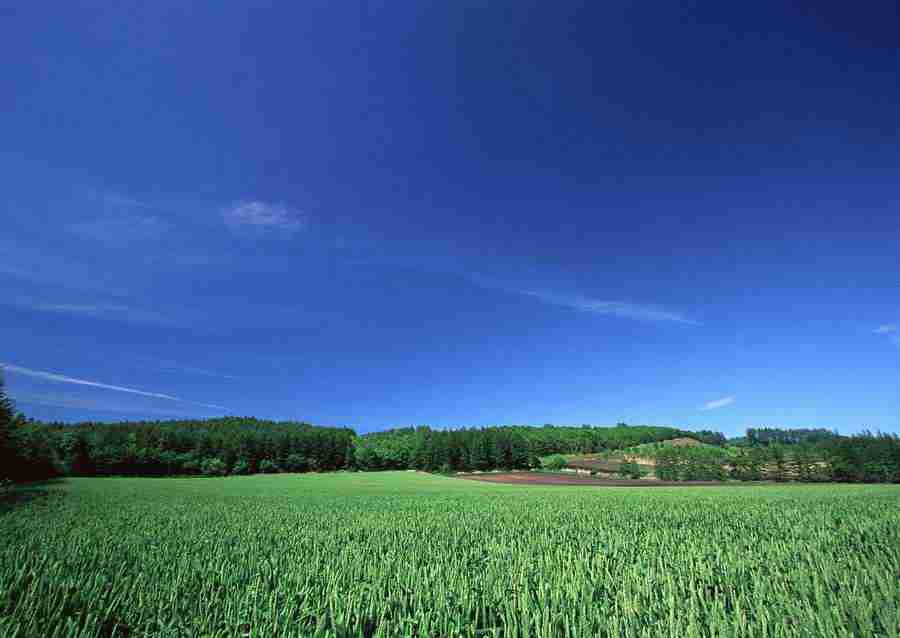 Ground and Sky - Datacraft Sozaijiten  ></a>
<script language=JavaScript> 
  var txt = 