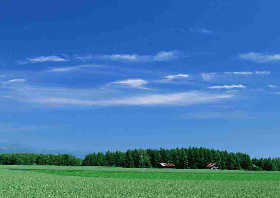 Ground and Sky - Datacraft Sozaijiten  ></a>
<script language=JavaScript> 
  var txt = 