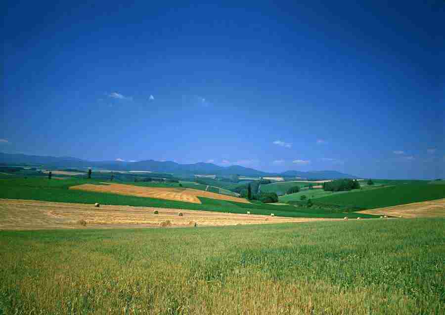 Ground and Sky - Datacraft Sozaijiten  ></a>
<script language=JavaScript> 
  var txt = 