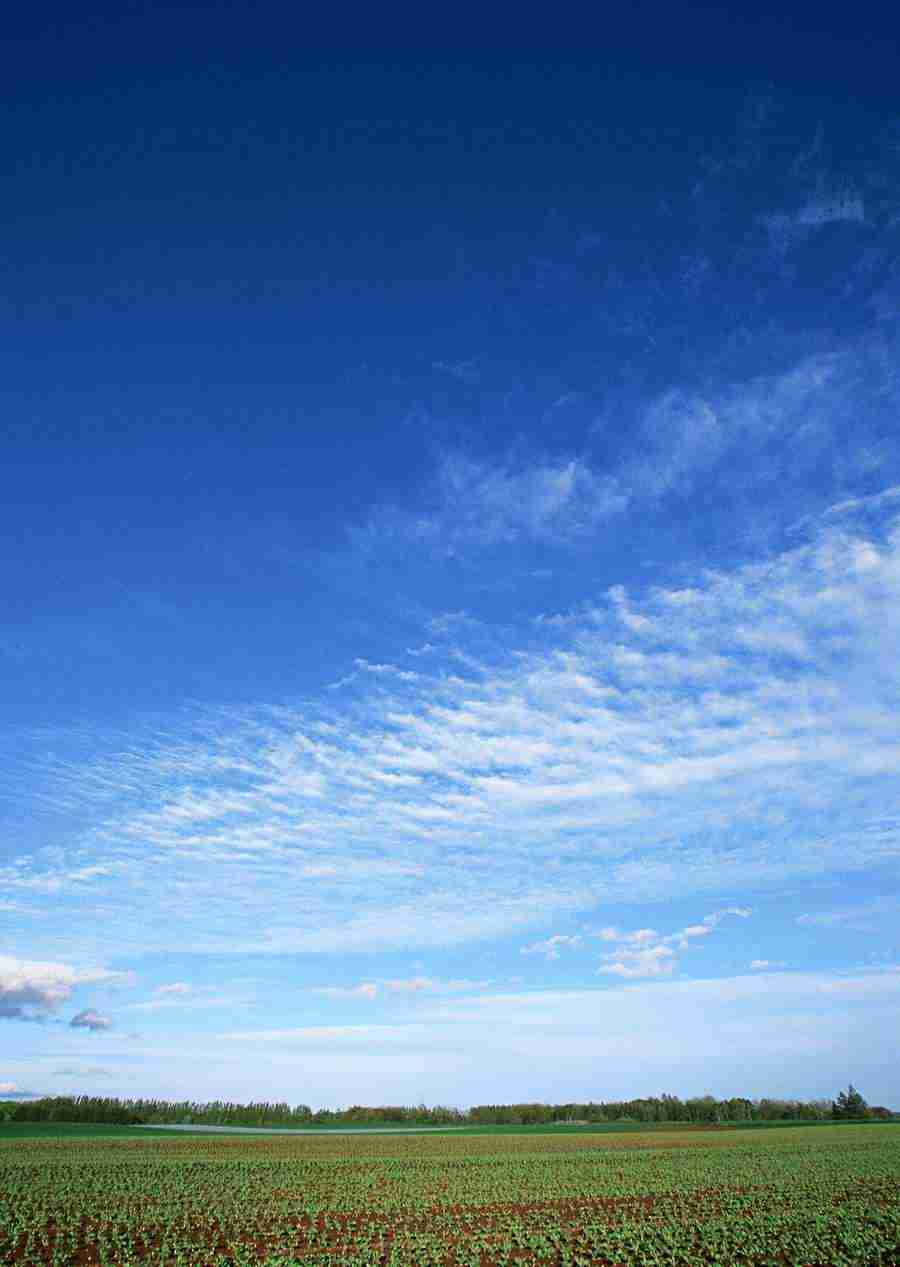 Ground and Sky - Datacraft Sozaijiten  ></a>
<script language=JavaScript> 
  var txt = 