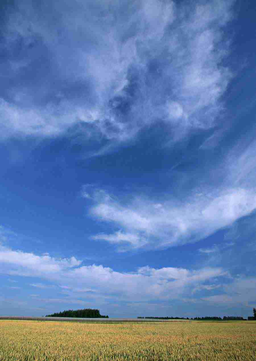 Ground and Sky - Datacraft Sozaijiten  ></a>
<script language=JavaScript> 
  var txt = 