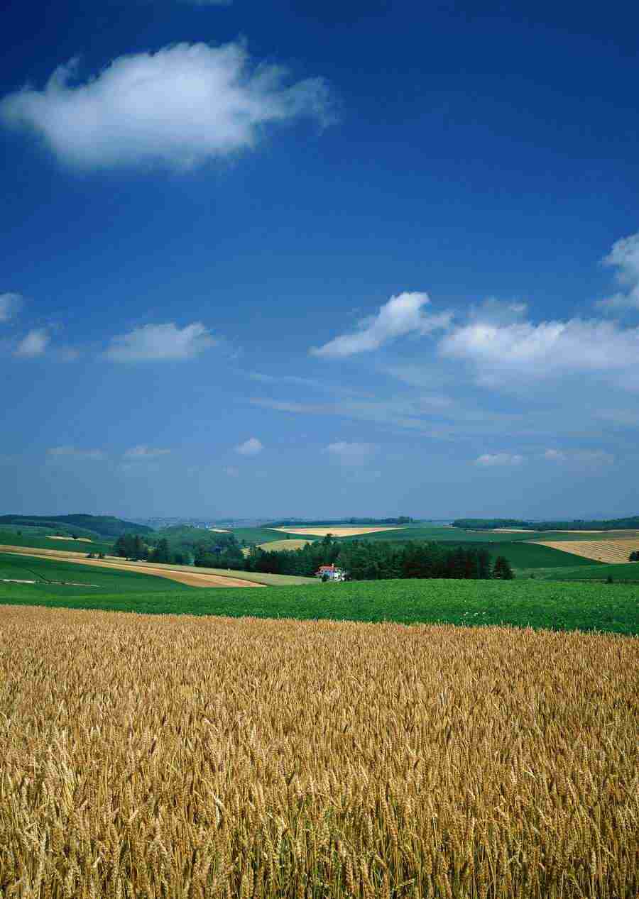 Ground and Sky - Datacraft Sozaijiten  ></a>
<script language=JavaScript> 
  var txt = 