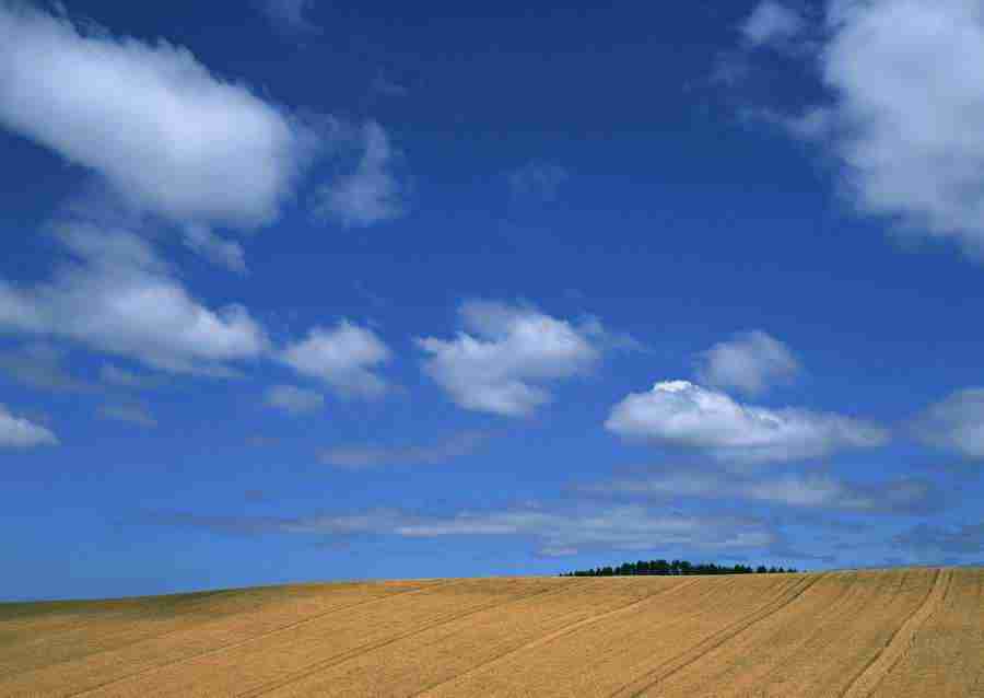 Ground and Sky - Datacraft Sozaijiten  ></a>
<script language=JavaScript> 
  var txt = 