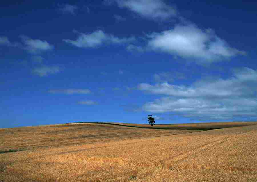 Ground and Sky - Datacraft Sozaijiten  ></a>
<script language=JavaScript> 
  var txt = 