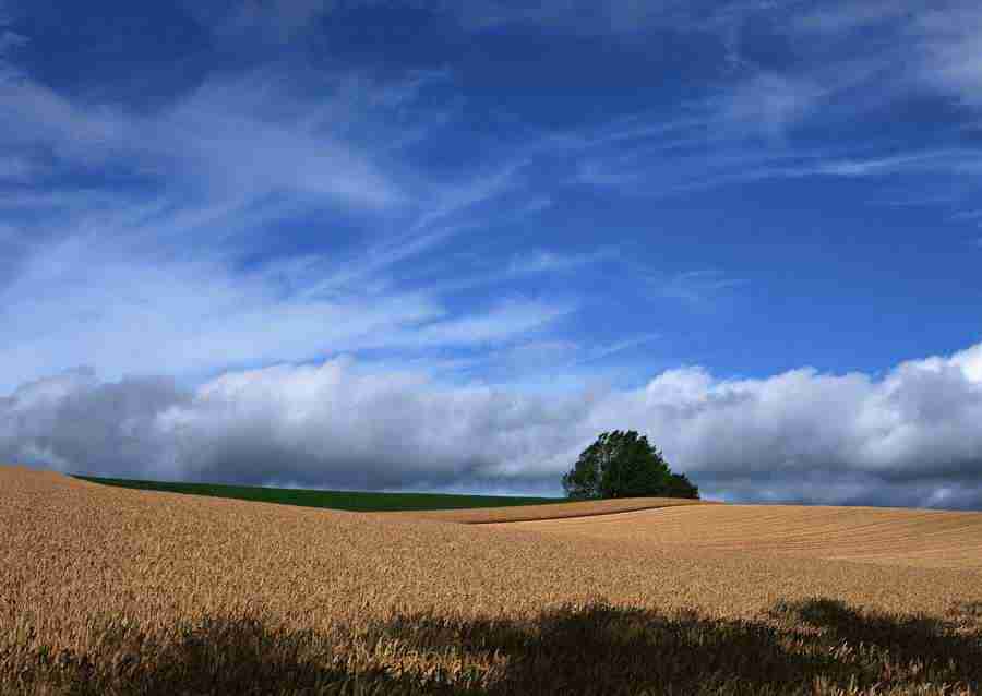 Ground and Sky - Datacraft Sozaijiten  ></a>
<script language=JavaScript> 
  var txt = 