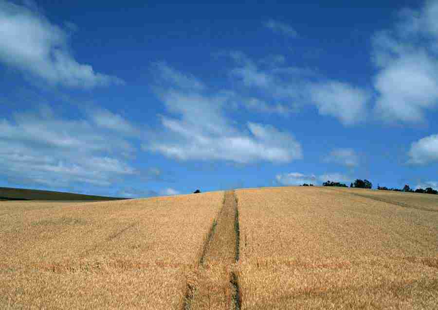 Ground and Sky - Datacraft Sozaijiten  ></a>
<script language=JavaScript> 
  var txt = 