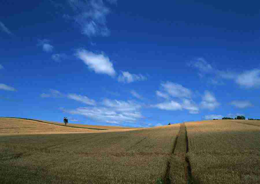 Ground and Sky - Datacraft Sozaijiten  ></a>
<script language=JavaScript> 
  var txt = 