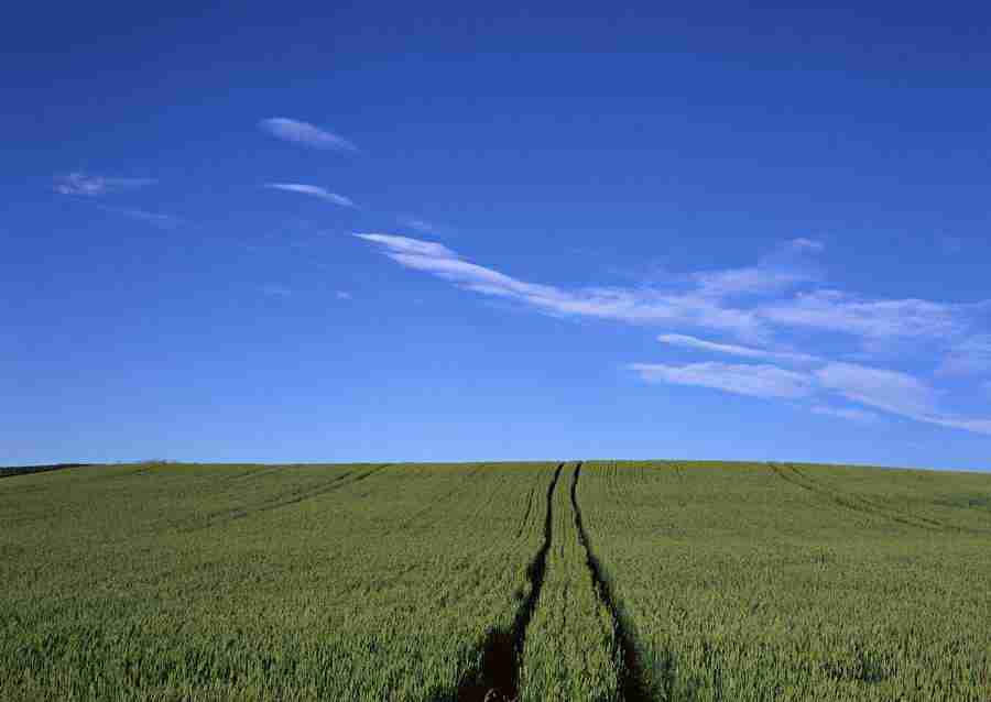 Ground and Sky - Datacraft Sozaijiten  ></a>
<script language=JavaScript> 
  var txt = 