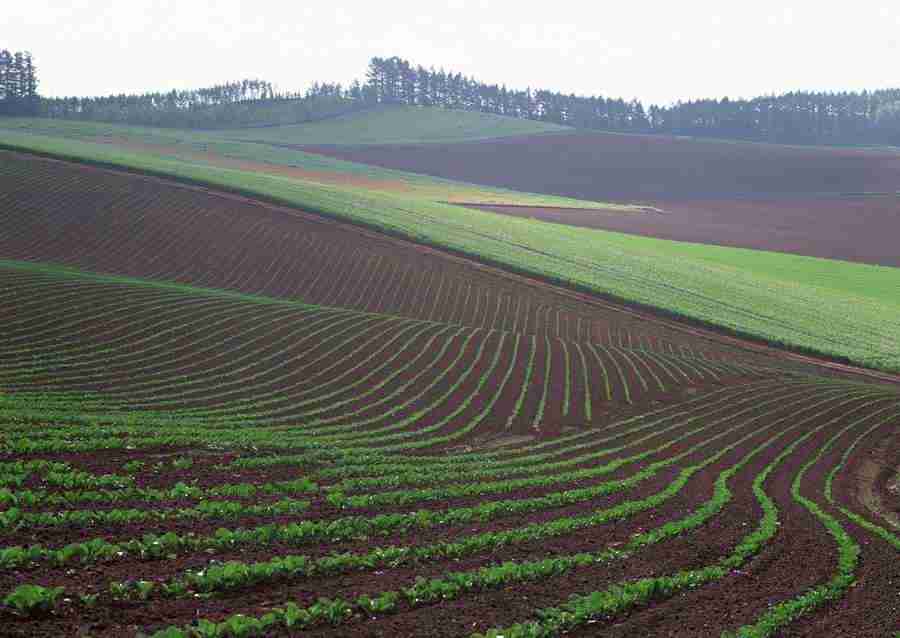 Ground and Sky - Datacraft Sozaijiten  ></a>
<script language=JavaScript> 
  var txt = 