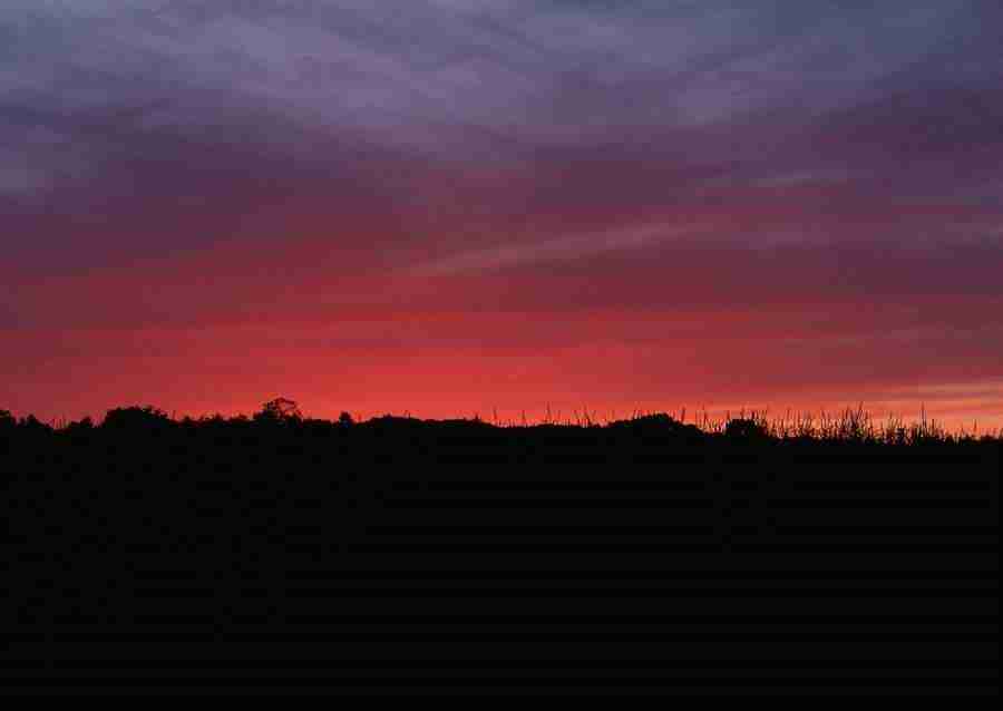 Ground and Sky - Datacraft Sozaijiten  ></a>
<script language=JavaScript> 
  var txt = 