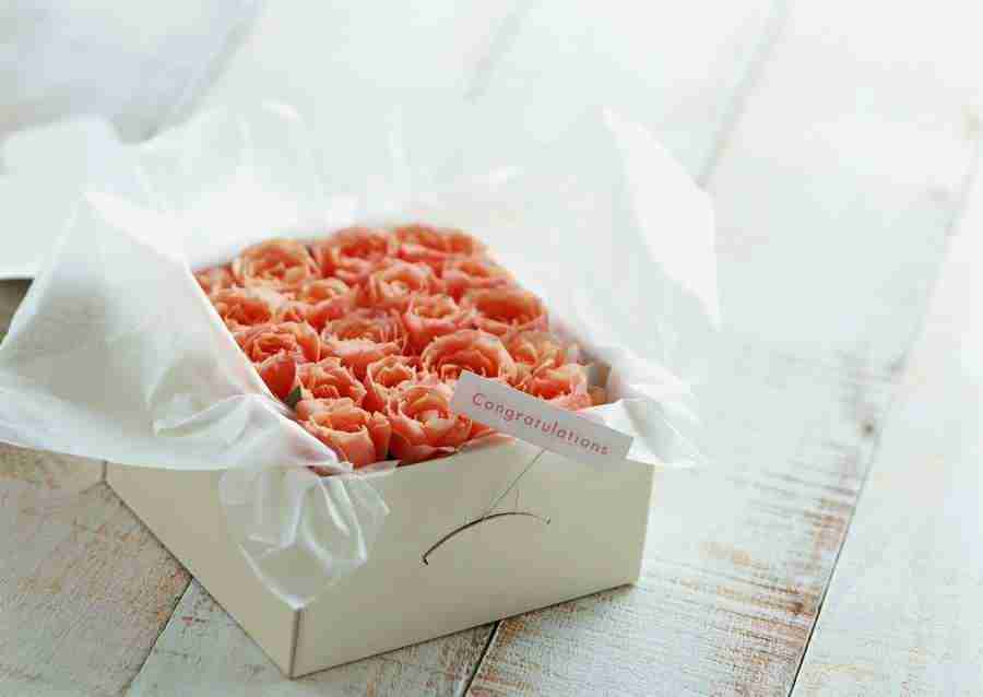 Gifts - Datacraft Sozaijiten  ></a>
<script language=JavaScript> 
  var txt = 