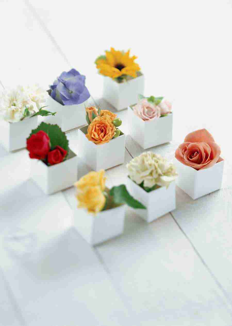 Gifts - Datacraft Sozaijiten  ></a>
<script language=JavaScript> 
  var txt = 