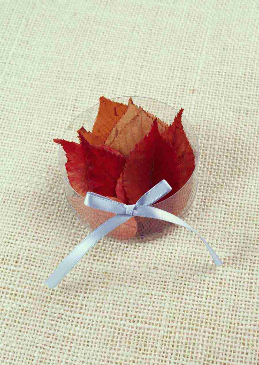 Gifts - Datacraft Sozaijiten  ></a>
<script language=JavaScript> 
  var txt = 