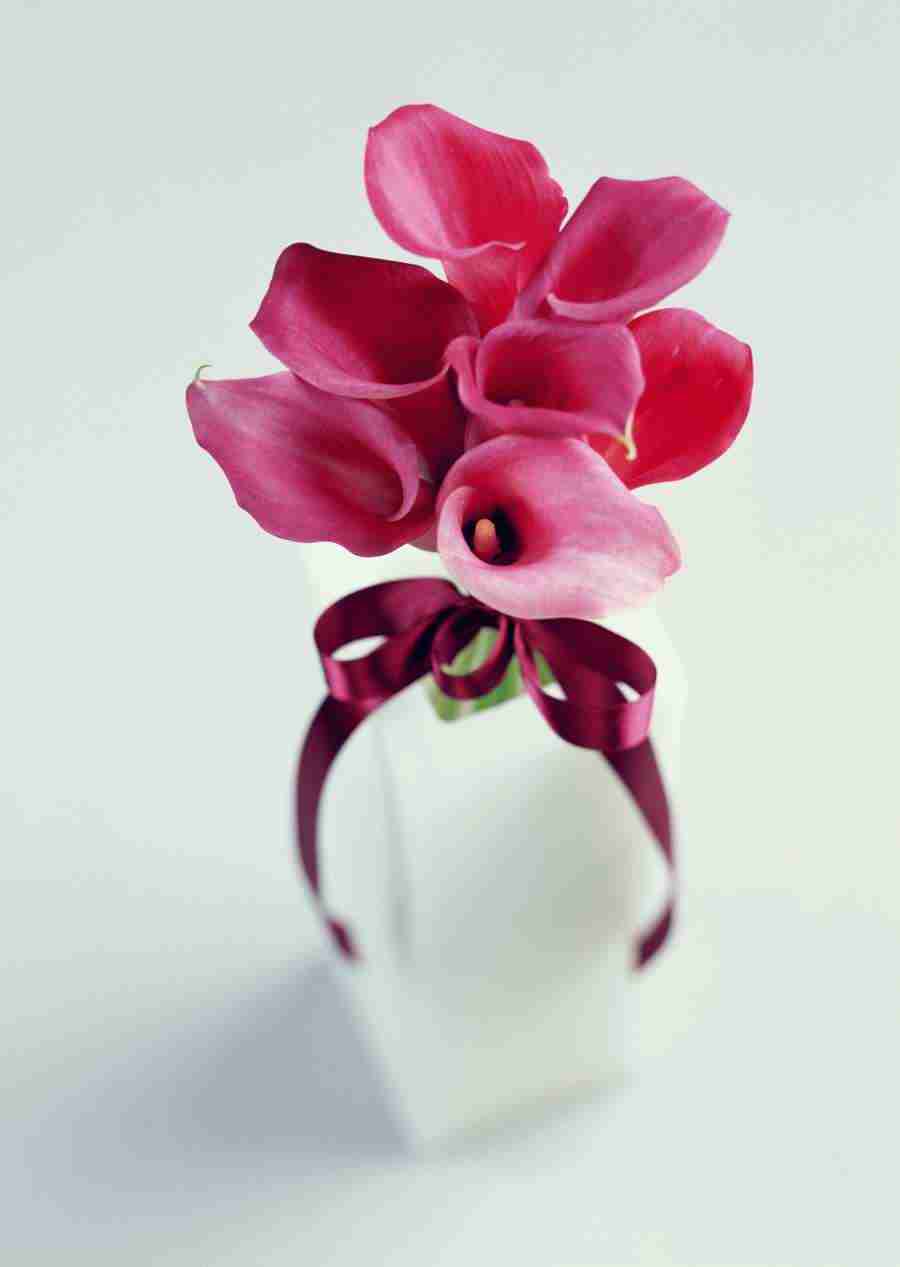 Gifts - Datacraft Sozaijiten  ></a>
<script language=JavaScript> 
  var txt = 