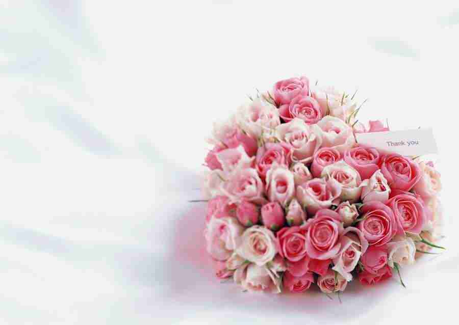 Gifts - Datacraft Sozaijiten  ></a>
<script language=JavaScript> 
  var txt = 