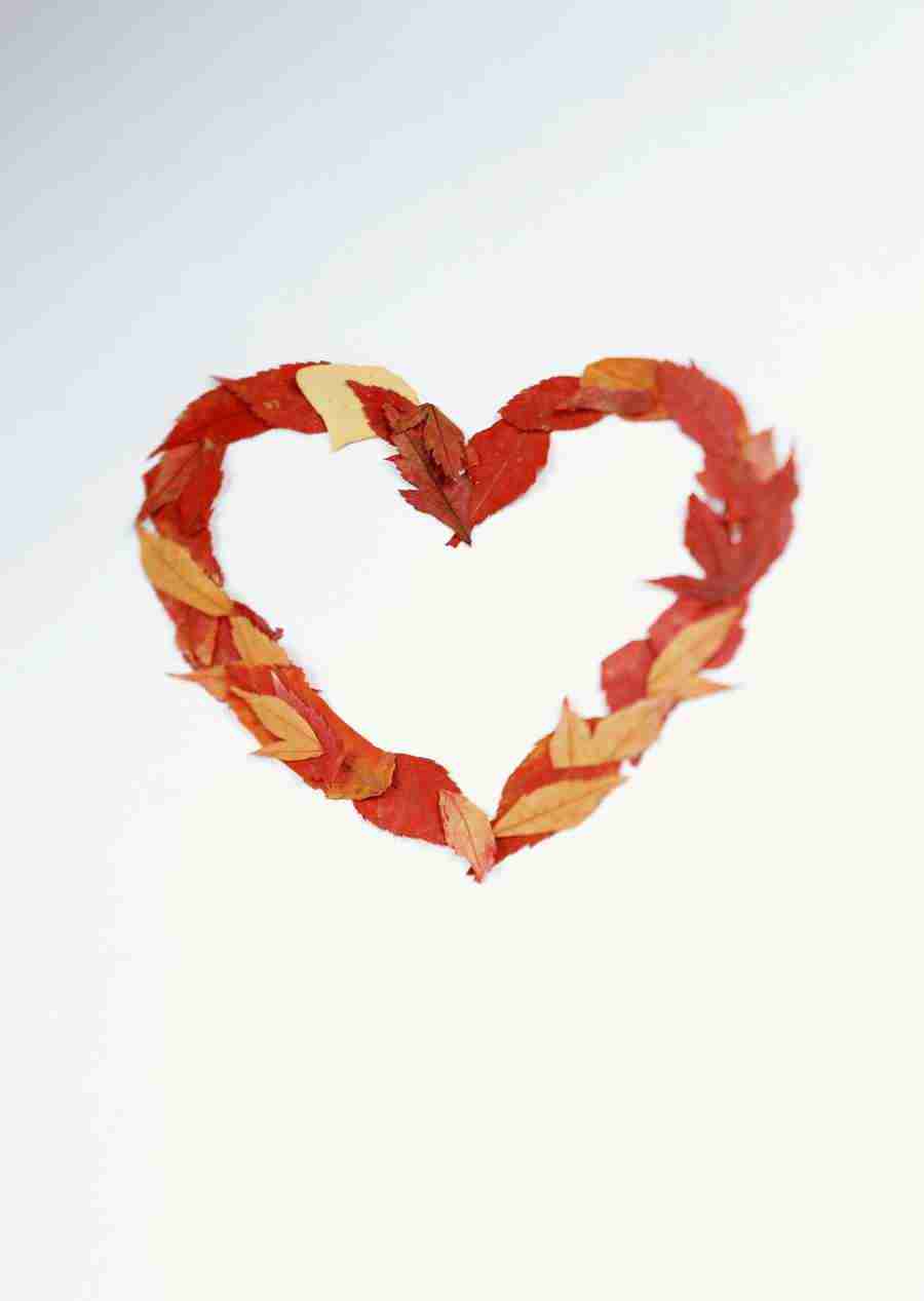 Gifts - Datacraft Sozaijiten  ></a>
<script language=JavaScript> 
  var txt = 