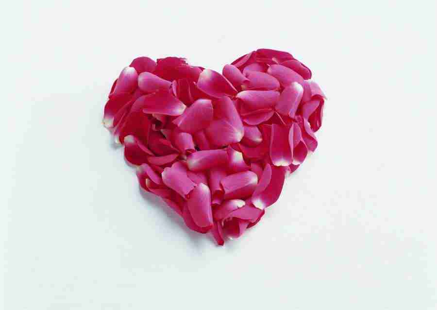 Gifts - Datacraft Sozaijiten  ></a>
<script language=JavaScript> 
  var txt = 