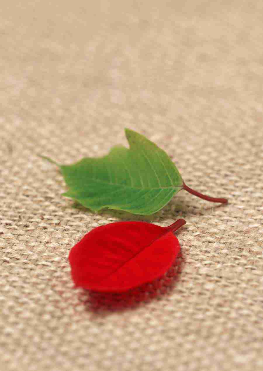 Gifts - Datacraft Sozaijiten  ></a>
<script language=JavaScript> 
  var txt = 