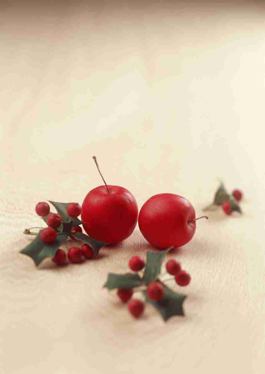 Gifts - Datacraft Sozaijiten  ></a>
<script language=JavaScript> 
  var txt = 