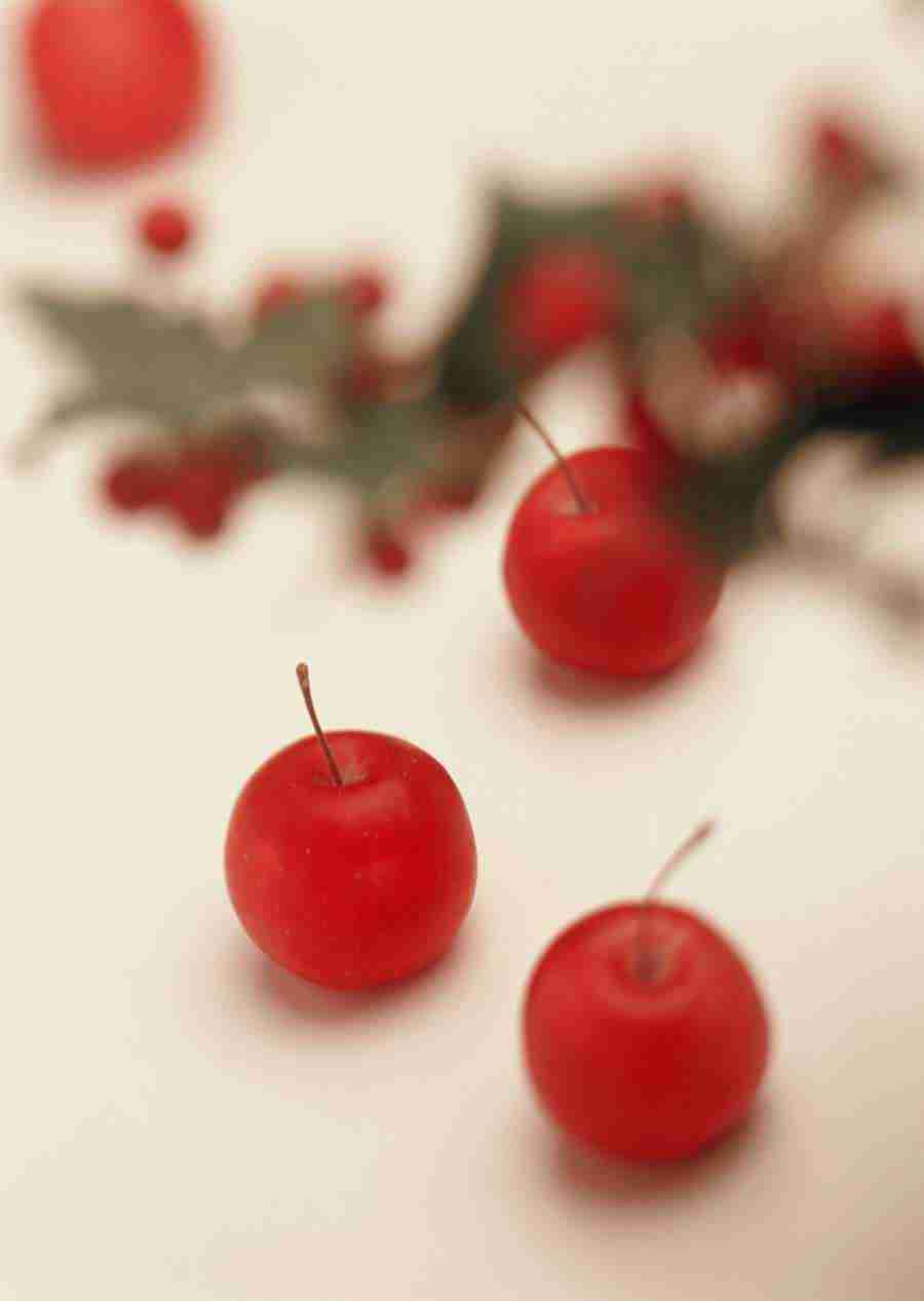 Gifts - Datacraft Sozaijiten  ></a>
<script language=JavaScript> 
  var txt = 