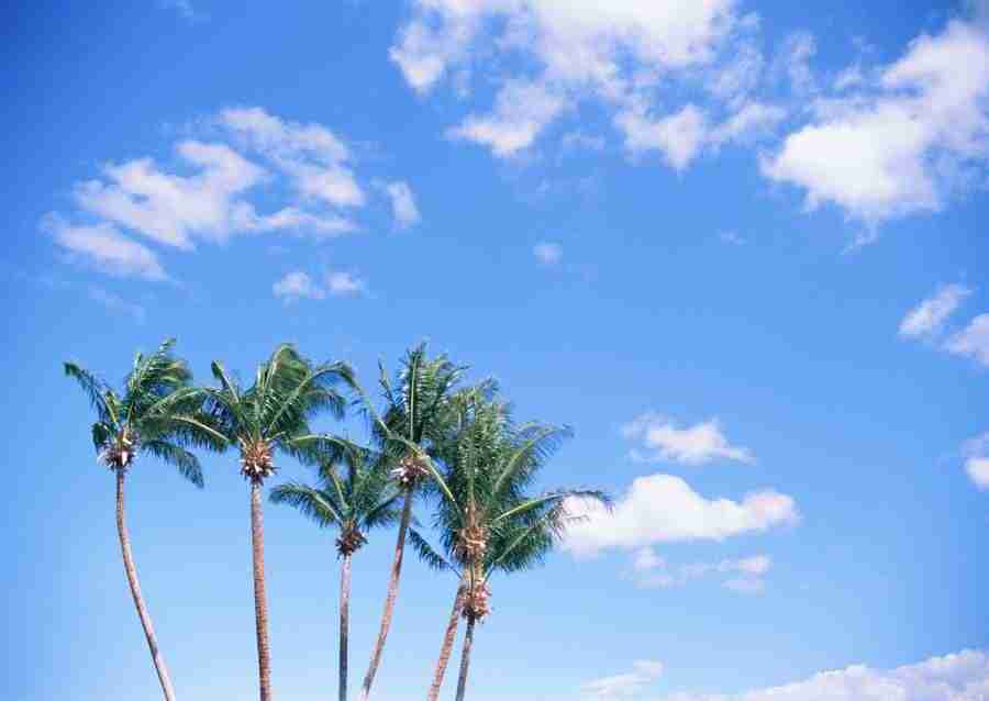 Hawaii - Datacraft Sozaijiten  ></a>
<script language=JavaScript> 
  var txt = 