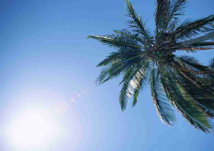 Hawaii - Datacraft Sozaijiten  ></a>
<script language=JavaScript> 
  var txt = 
