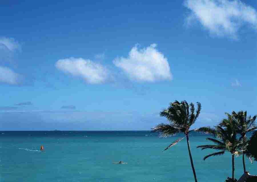 Hawaii - Datacraft Sozaijiten  ></a>
<script language=JavaScript> 
  var txt = 