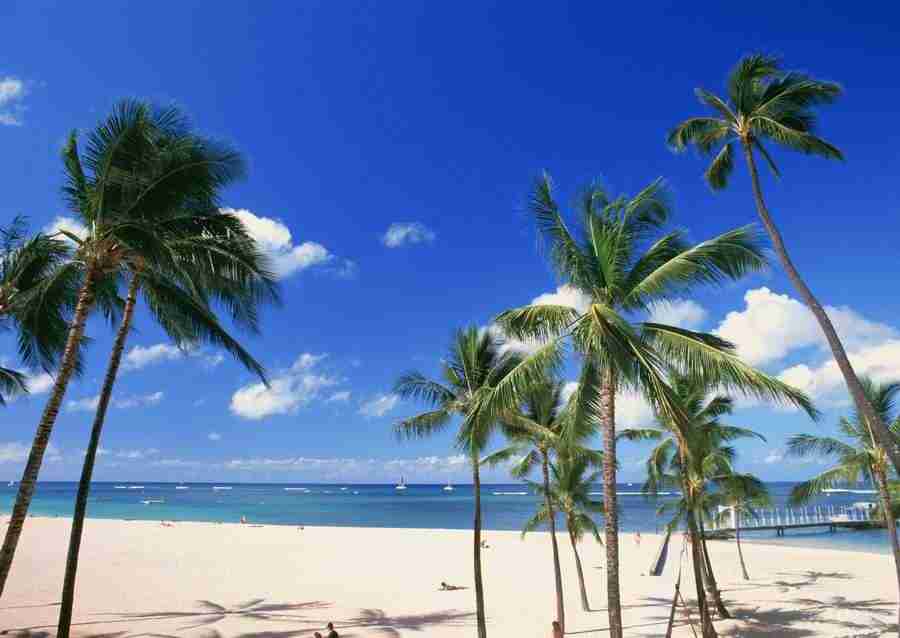 Hawaii - Datacraft Sozaijiten  ></a>
<script language=JavaScript> 
  var txt = 