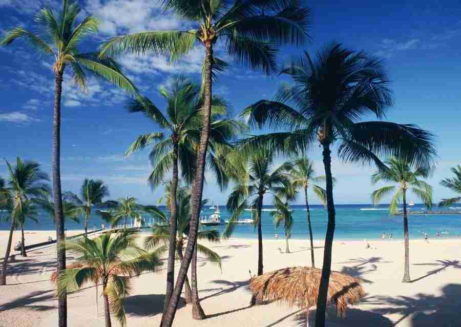 Hawaii - Datacraft Sozaijiten  ></a>
<script language=JavaScript> 
  var txt = 