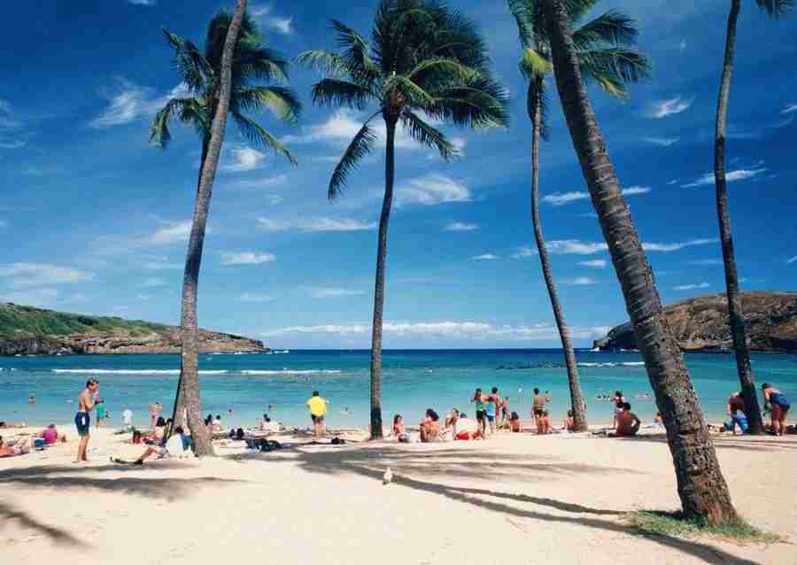 Hawaii - Datacraft Sozaijiten  ></a>
<script language=JavaScript> 
  var txt = 