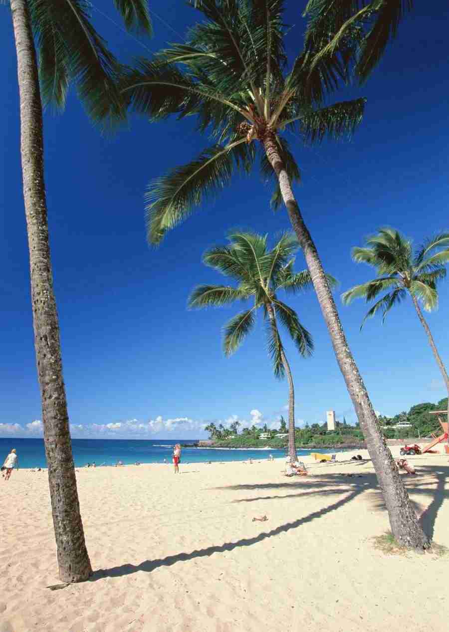 Hawaii - Datacraft Sozaijiten  ></a>
<script language=JavaScript> 
  var txt = 