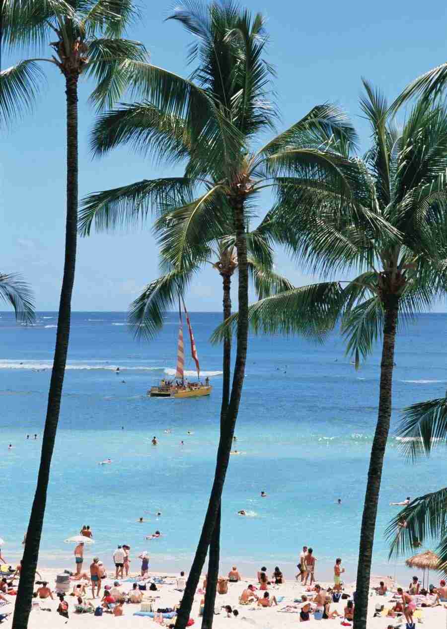 Hawaii - Datacraft Sozaijiten  ></a>
<script language=JavaScript> 
  var txt = 