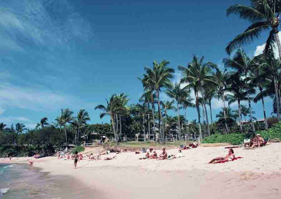 Hawaii - Datacraft Sozaijiten  ></a>
<script language=JavaScript> 
  var txt = 
