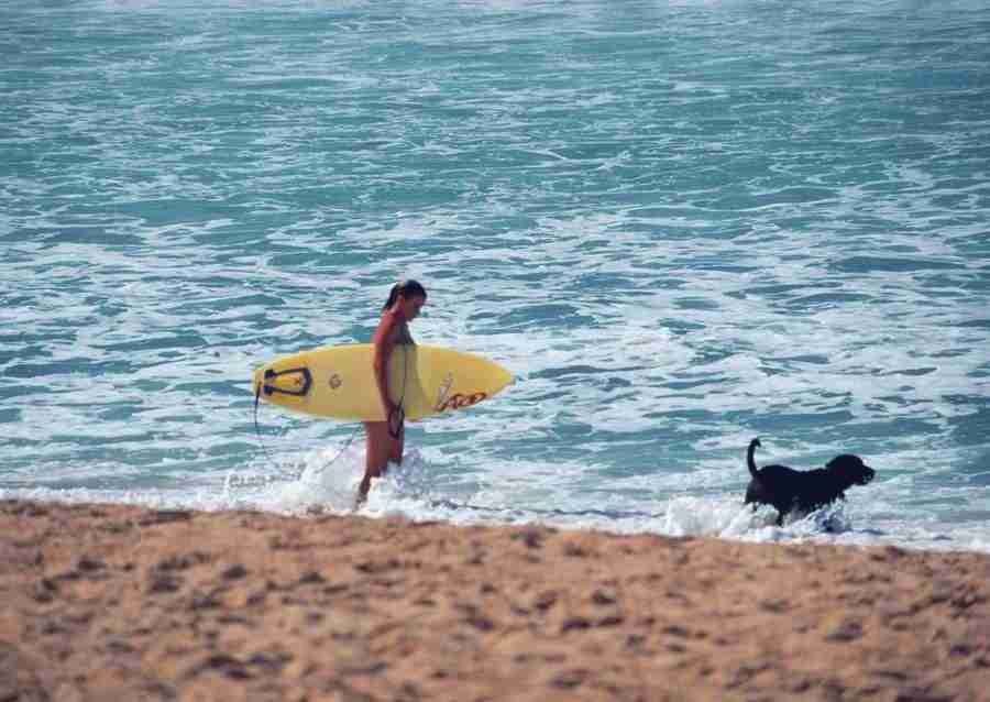 Hawaii - Datacraft Sozaijiten  ></a>
<script language=JavaScript> 
  var txt = 