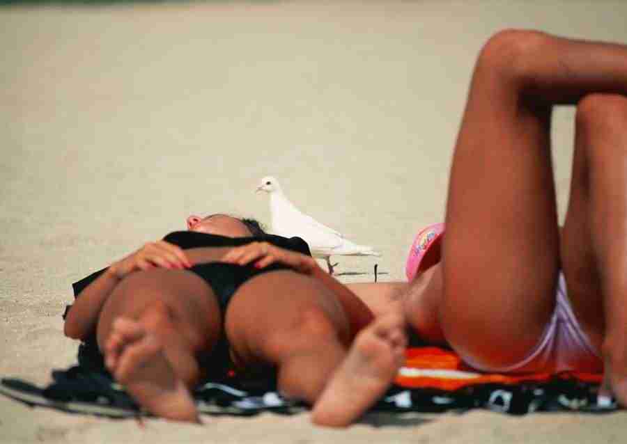 Hawaii - Datacraft Sozaijiten  ></a>
<script language=JavaScript> 
  var txt = 