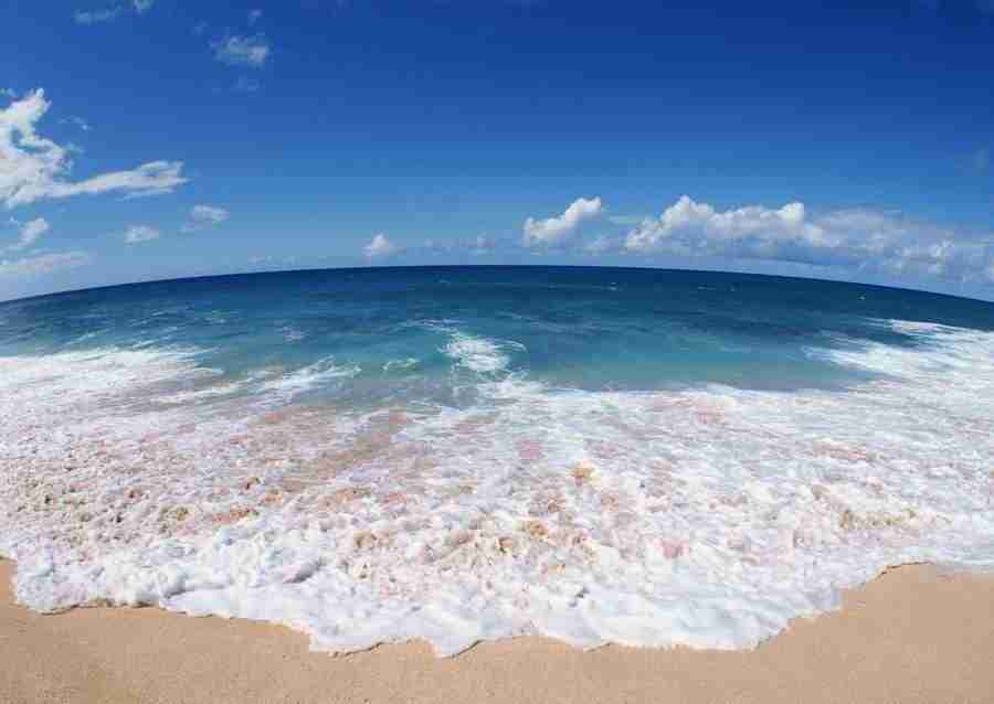 Hawaii - Datacraft Sozaijiten  ></a>
<script language=JavaScript> 
  var txt = 