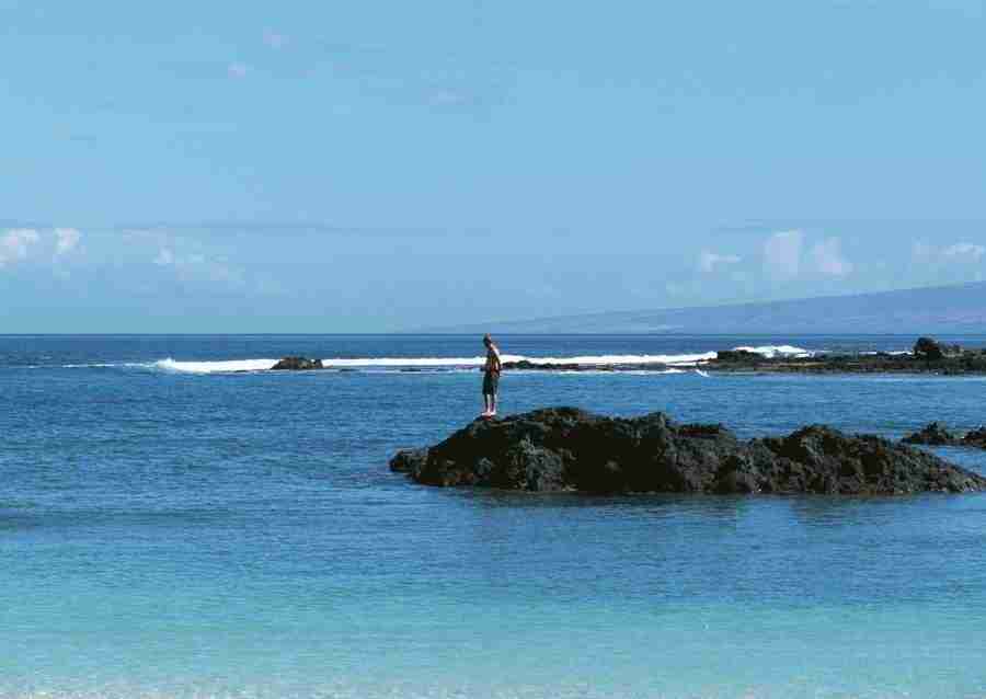 Hawaii - Datacraft Sozaijiten  ></a>
<script language=JavaScript> 
  var txt = 