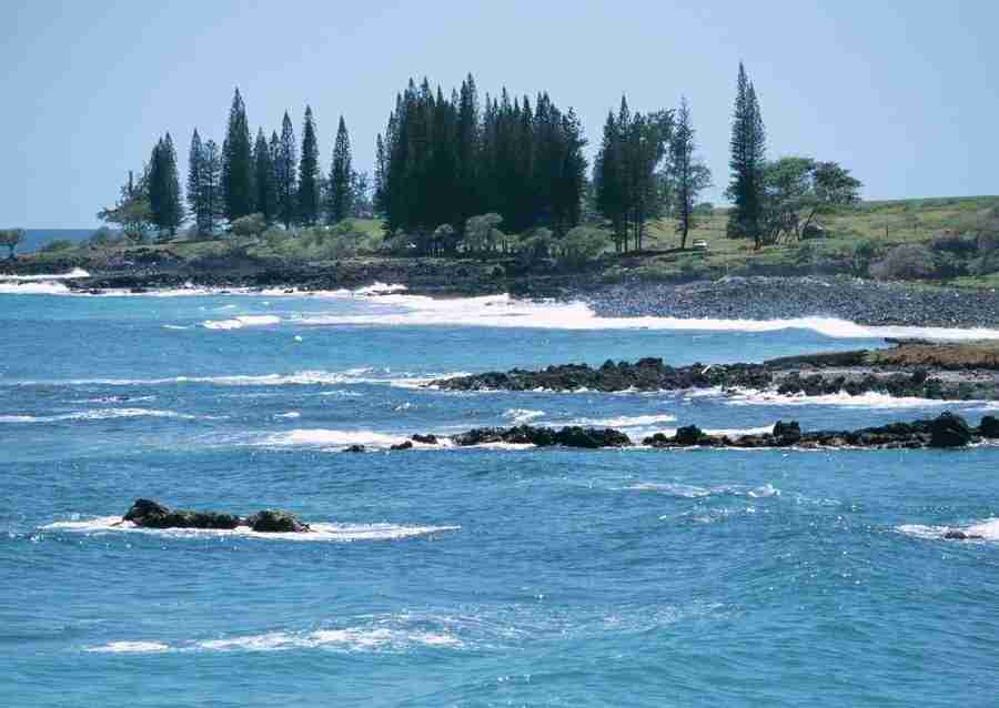 Hawaii - Datacraft Sozaijiten  ></a>
<script language=JavaScript> 
  var txt = 