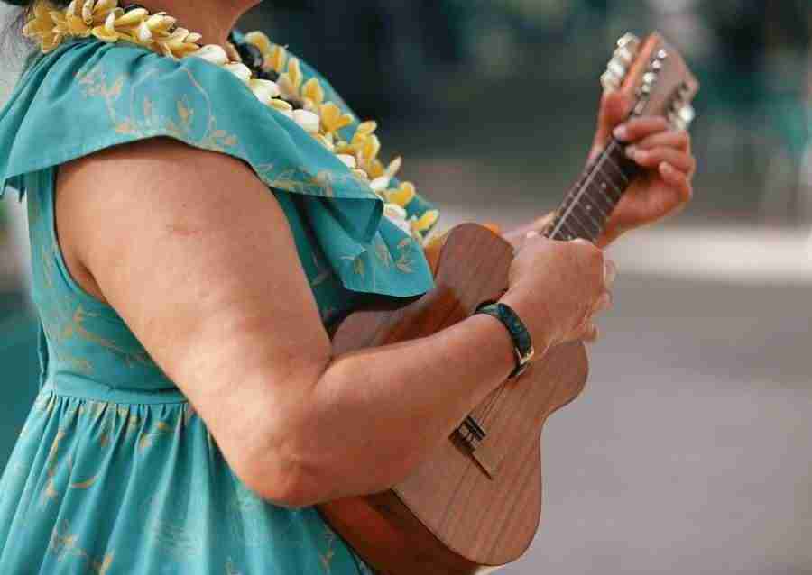 Hawaii - Datacraft Sozaijiten  ></a>
<script language=JavaScript> 
  var txt = 