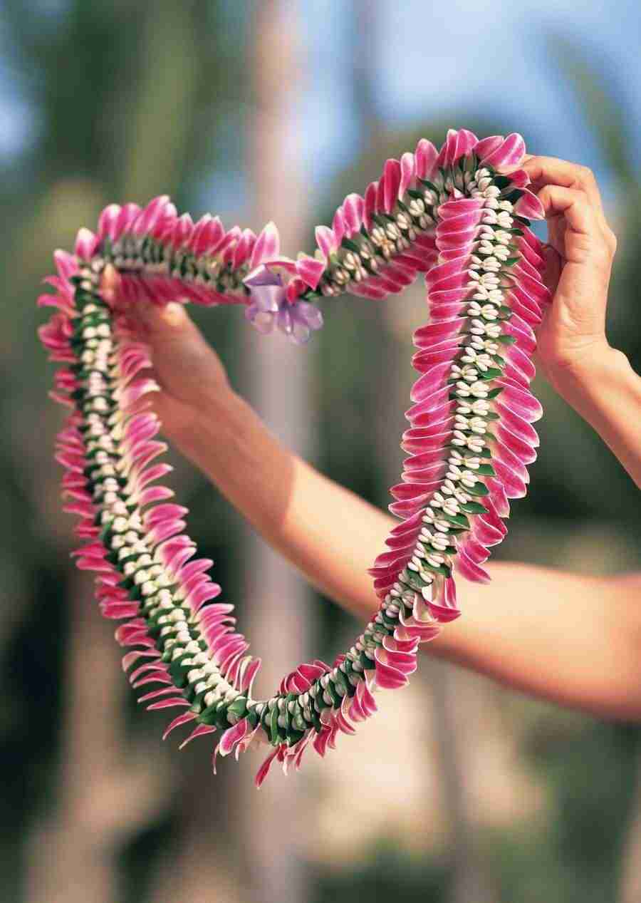 Hawaii - Datacraft Sozaijiten  ></a>
<script language=JavaScript> 
  var txt = 