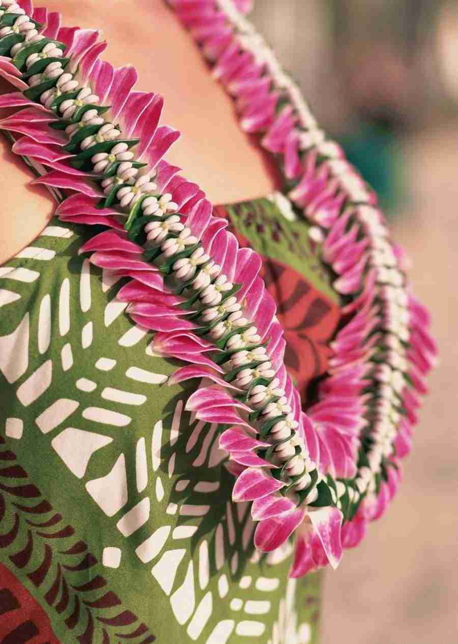 Hawaii - Datacraft Sozaijiten  ></a>
<script language=JavaScript> 
  var txt = 