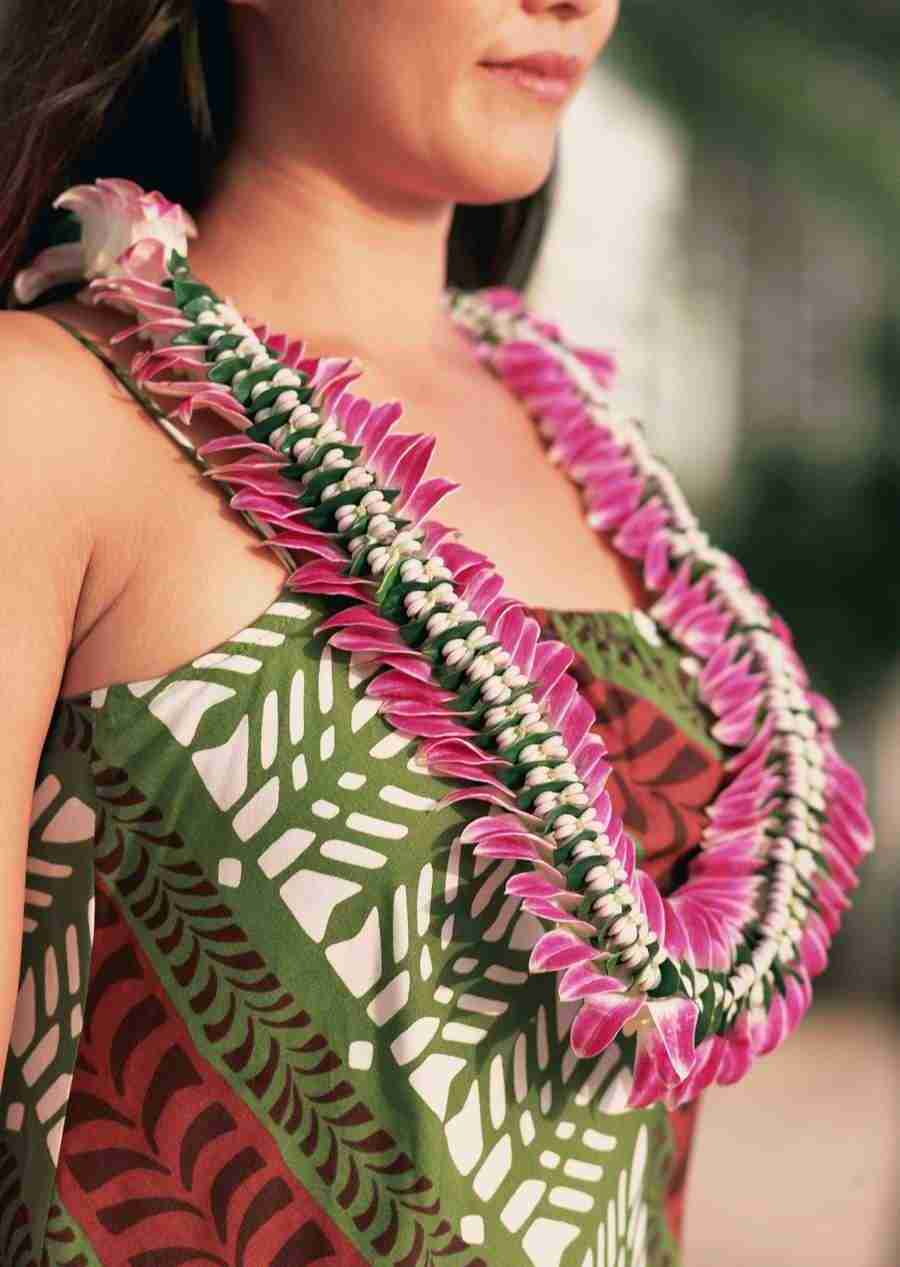 Hawaii - Datacraft Sozaijiten  ></a>
<script language=JavaScript> 
  var txt = 