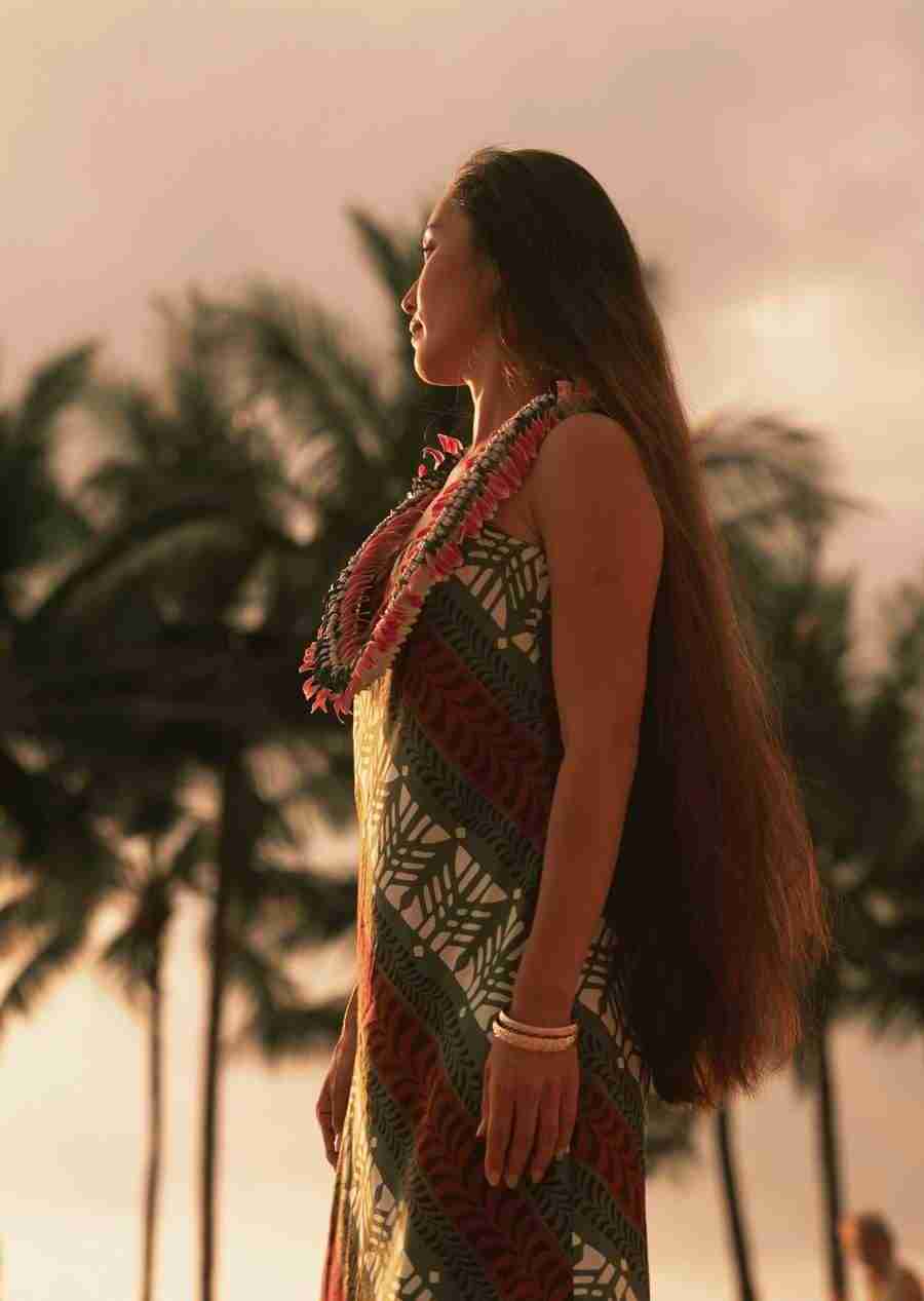 Hawaii - Datacraft Sozaijiten  ></a>
<script language=JavaScript> 
  var txt = 