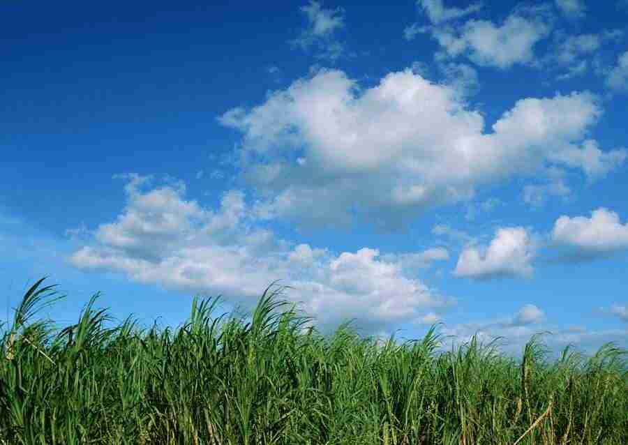 Hawaii - Datacraft Sozaijiten  ></a>
<script language=JavaScript> 
  var txt = 