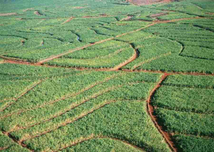 Hawaii - Datacraft Sozaijiten  ></a>
<script language=JavaScript> 
  var txt = 