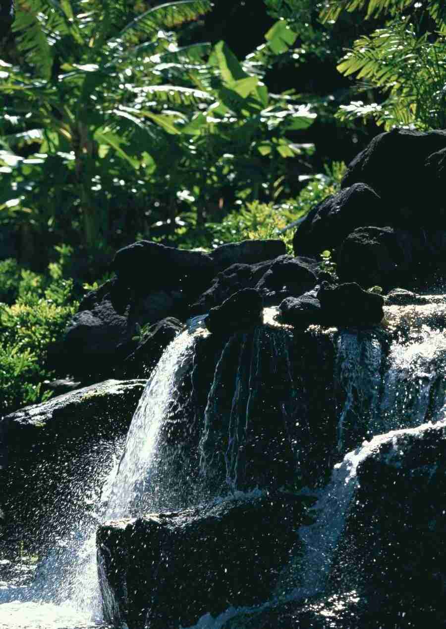 Hawaii - Datacraft Sozaijiten  ></a>
<script language=JavaScript> 
  var txt = 