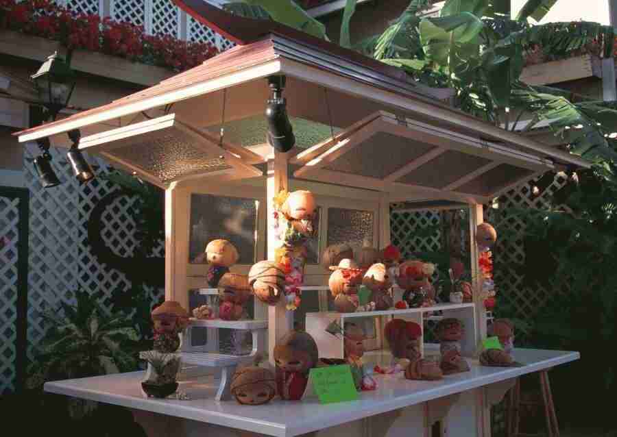 Hawaii - Datacraft Sozaijiten  ></a>
<script language=JavaScript> 
  var txt = 