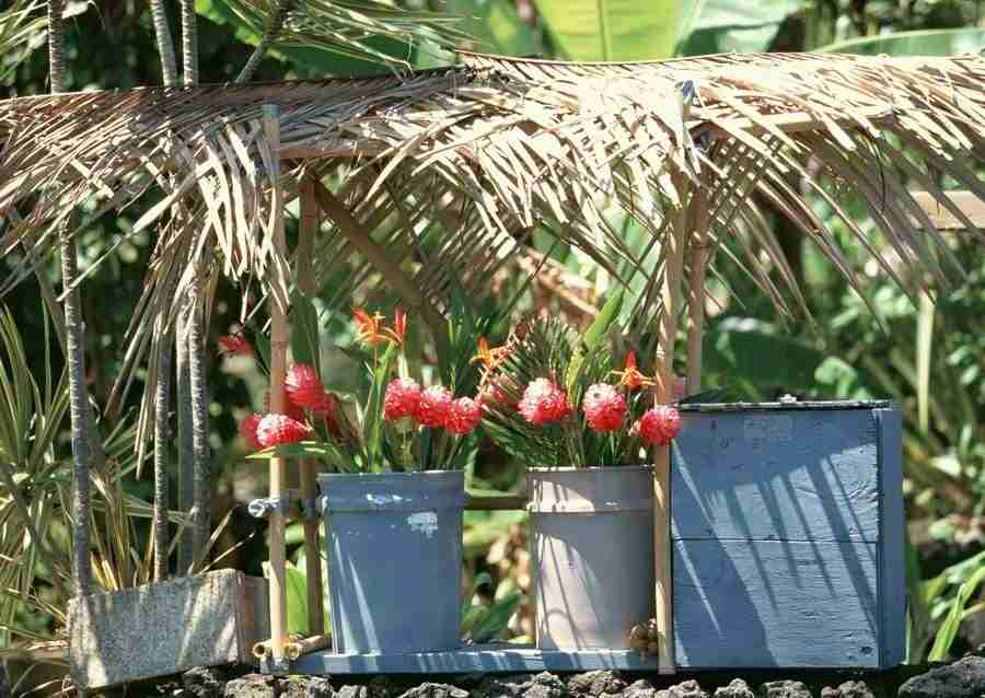 Hawaii - Datacraft Sozaijiten  ></a>
<script language=JavaScript> 
  var txt = 