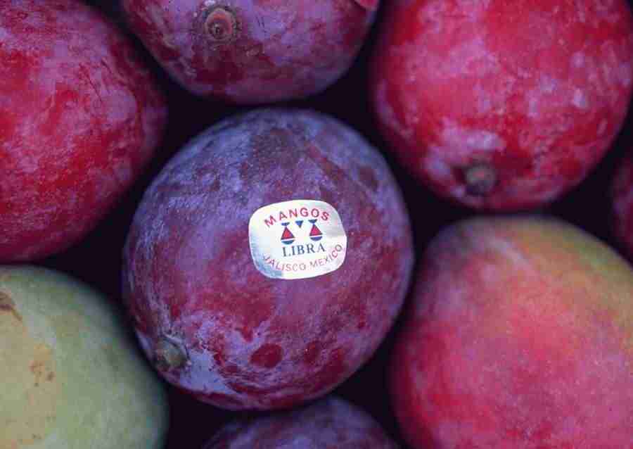 Hawaii - Datacraft Sozaijiten  ></a>
<script language=JavaScript> 
  var txt = 